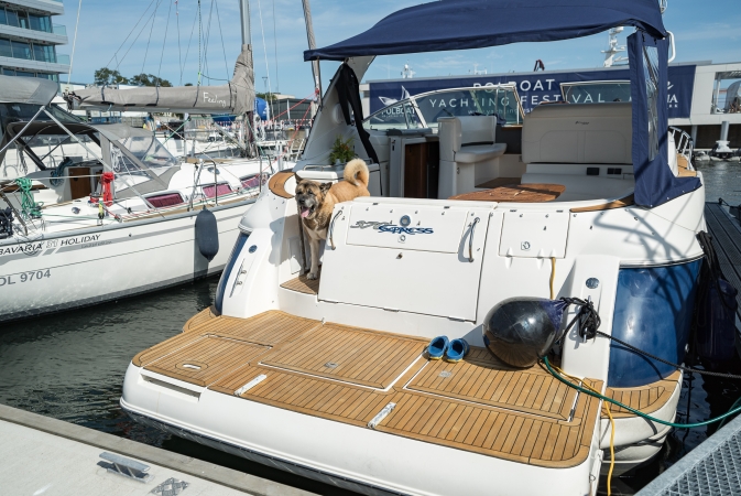 Luksusowe jachty w gdyńskiej marinie - za nami Polboat Yachting Festival [foto, wideo]-GospodarkaMorska.pl