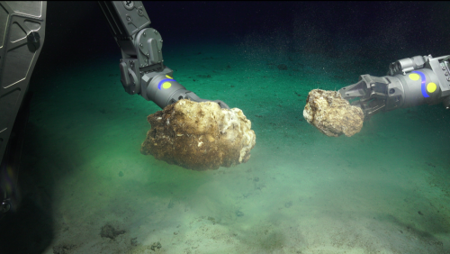 Naukowcy odkryli nową rafę koralową [foto, wideo]-GospodarkaMorska.pl