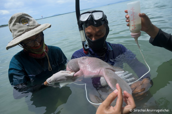 Wybrano zwycięzców konkursu fotograficznego Światowego Dnia Oceanów [foto]-GospodarkaMorska.pl
