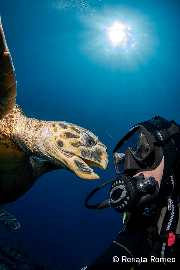 Wybrano zwycięzców konkursu fotograficznego Światowego Dnia Oceanów [foto]-GospodarkaMorska.pl