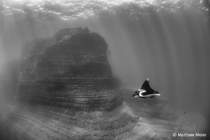 Wybrano zwycięzców konkursu fotograficznego Światowego Dnia Oceanów [foto]-GospodarkaMorska.pl