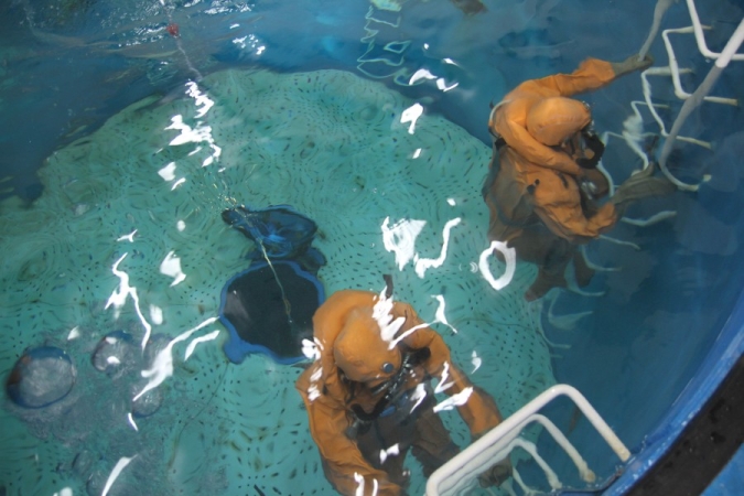 Załoga ORP Orzeł odbyła ćwiczenia ewakuacji z okrętu podwodnego -GospodarkaMorska.pl