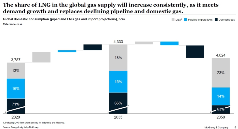 Popyt na LNG będzie rósł do 2037 r. a potem spadnie-GospodarkaMorska.pl