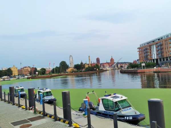 Kolizja statków na Motławie. Załoga 