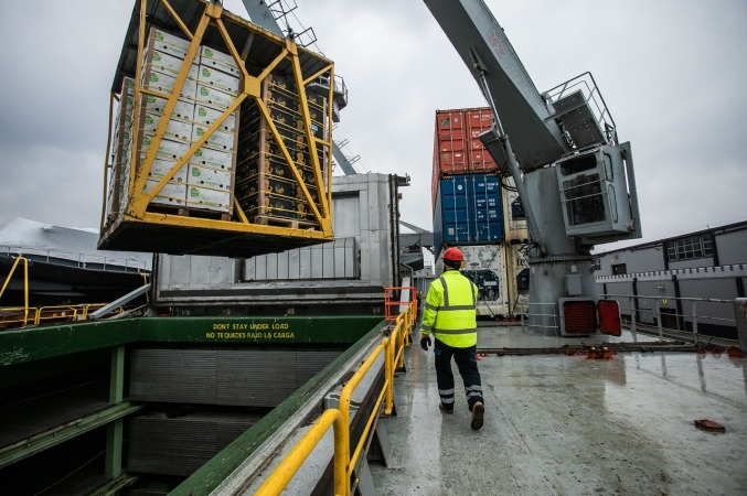 Portrezerwa. Specjaliści od kompleksowych przeładunków z Trójmiasta-GospodarkaMorska.pl