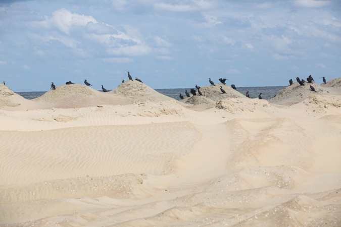 Mierzeja Wiślana. Rozpoczęło się pogłębianie kanału [WIDEO, ZDJĘCIA]-GospodarkaMorska.pl