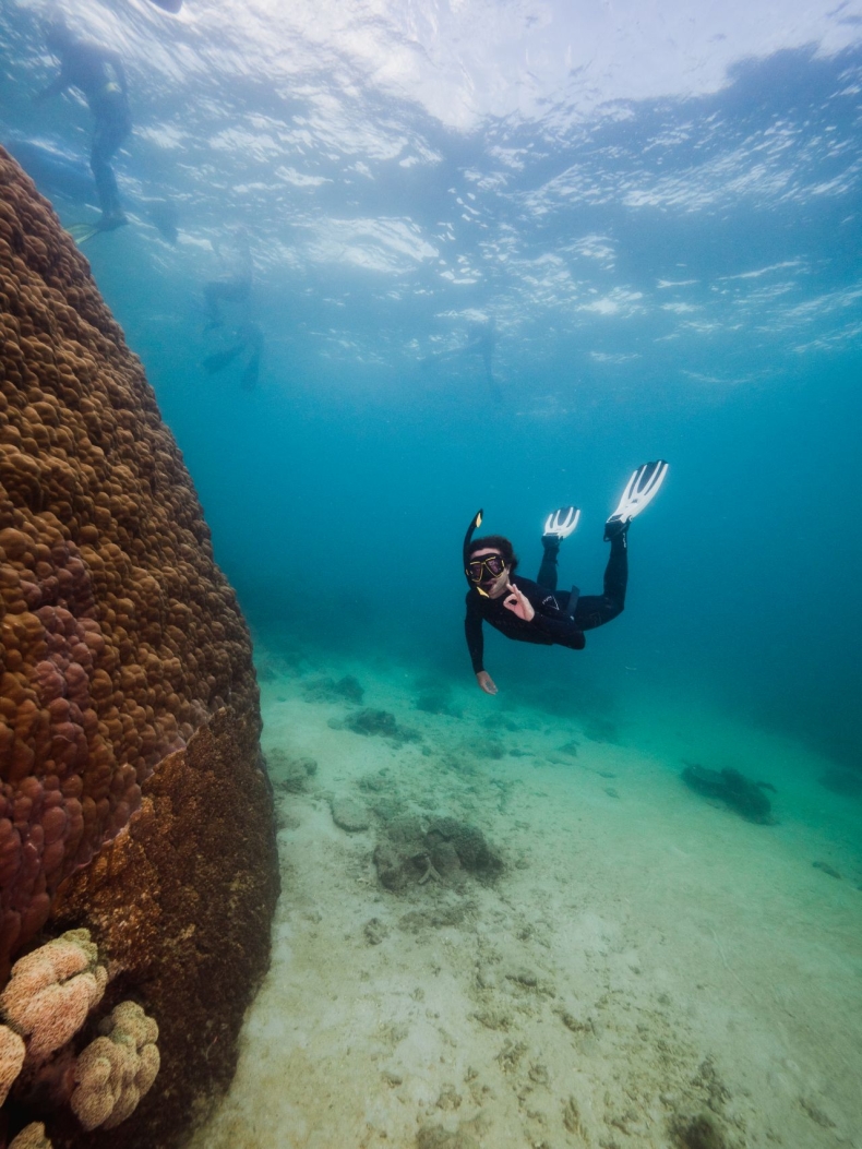 Naukowcy odkryli najbardziej rozległy koralowiec Wielkiej Rafy-GospodarkaMorska.pl