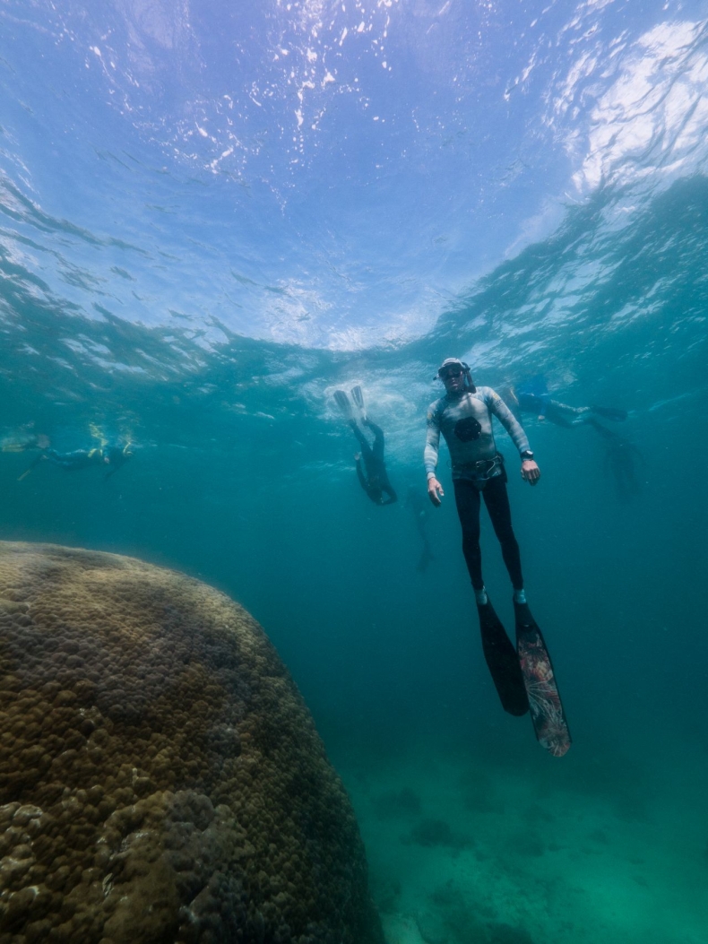 Naukowcy odkryli najbardziej rozległy koralowiec Wielkiej Rafy-GospodarkaMorska.pl