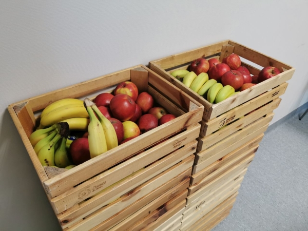 Zielony Tydzień w DCT. Troski o naszą planetę uczymy się w każdym wieku [ZDJĘCIA]-GospodarkaMorska.pl