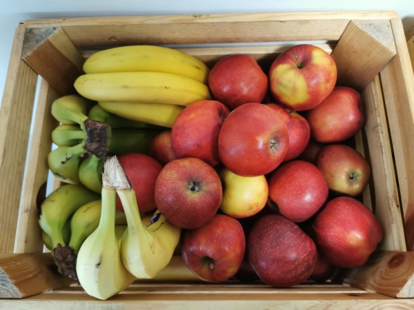 Zielony Tydzień w DCT. Troski o naszą planetę uczymy się w każdym wieku [ZDJĘCIA]-GospodarkaMorska.pl