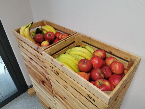 Zielony Tydzień w DCT. Troski o naszą planetę uczymy się w każdym wieku [ZDJĘCIA]-GospodarkaMorska.pl