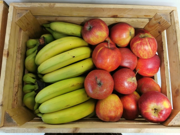 Zielony Tydzień w DCT. Troski o naszą planetę uczymy się w każdym wieku [ZDJĘCIA]-GospodarkaMorska.pl