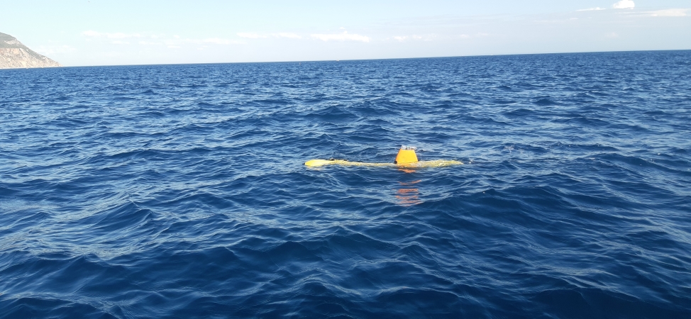 Portugalska Marynarka Wojenna szkoli 8. FOW [ZDJĘCIA]-GospodarkaMorska.pl