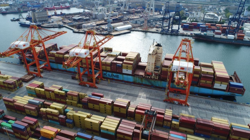 MSC Ellen wyrównuje rekord wielkości statku w Porcie Gdynia [WIDEO, ZDJĘCIA]-GospodarkaMorska.pl